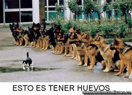 lool